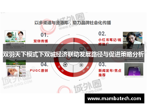 双羽天下模式下双城经济联动发展路径与促进策略分析