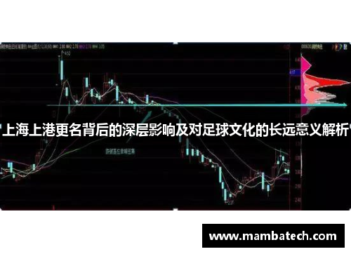 上海上港更名背后的深层影响及对足球文化的长远意义解析