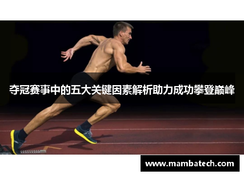 夺冠赛事中的五大关键因素解析助力成功攀登巅峰