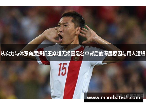 从实力与体系角度探析王燊超无缘国足名单背后的深层原因与用人逻辑